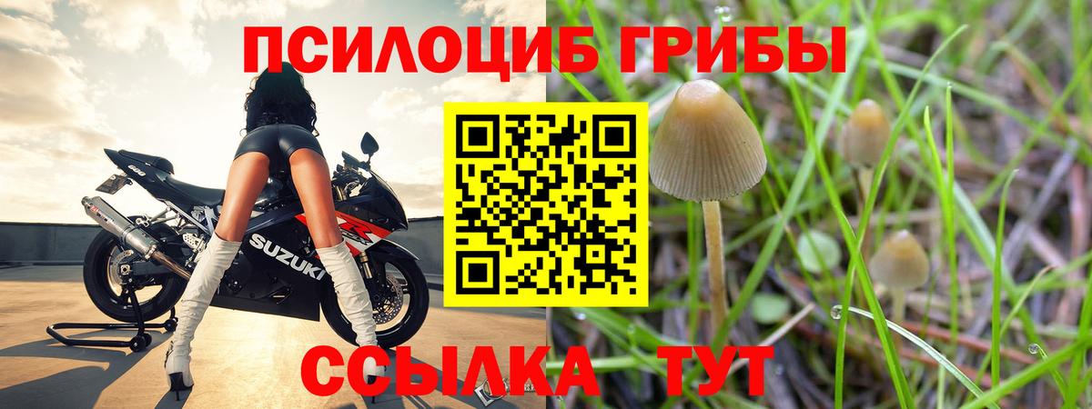 Псилоцибиновые грибы GOLDEN TEACHER  Вход с VPN  Ревда 