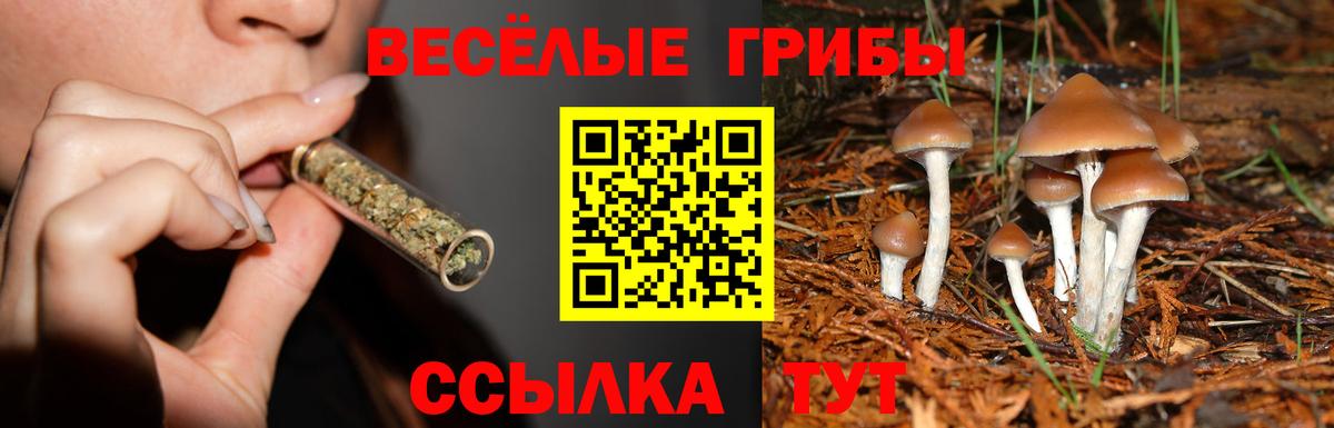 Псилоцибиновые грибы мицелий Ревда